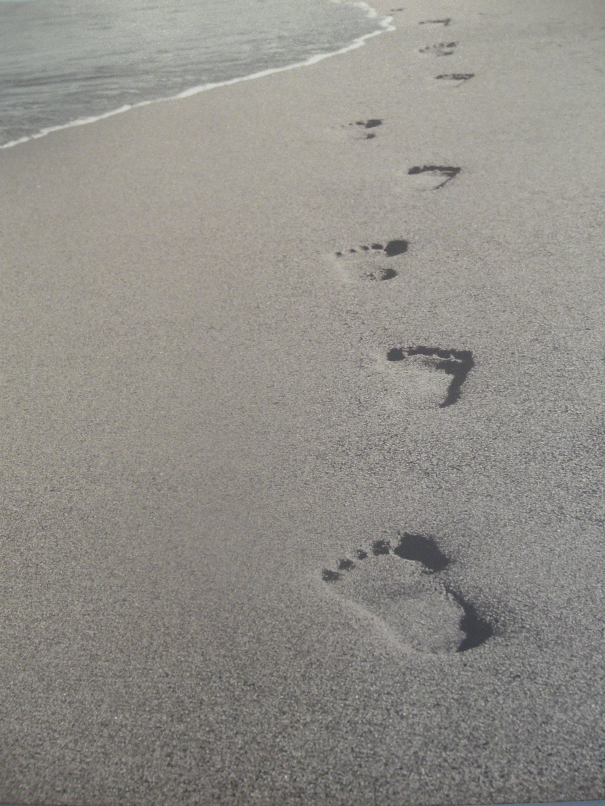 footprint blog